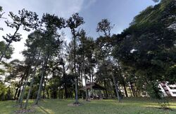 Blk 605 Choa Chu Kang Street 62 (Choa Chu Kang), HDB Executive #626766051